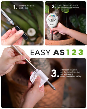 RainPoint provides watering guidance for over 50 common plants.
