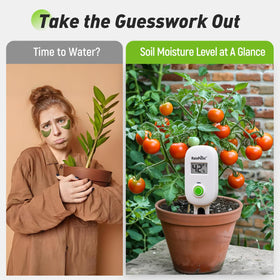 RAINPOINT LCD display provides quick, precise moisture readings for watering decisions.