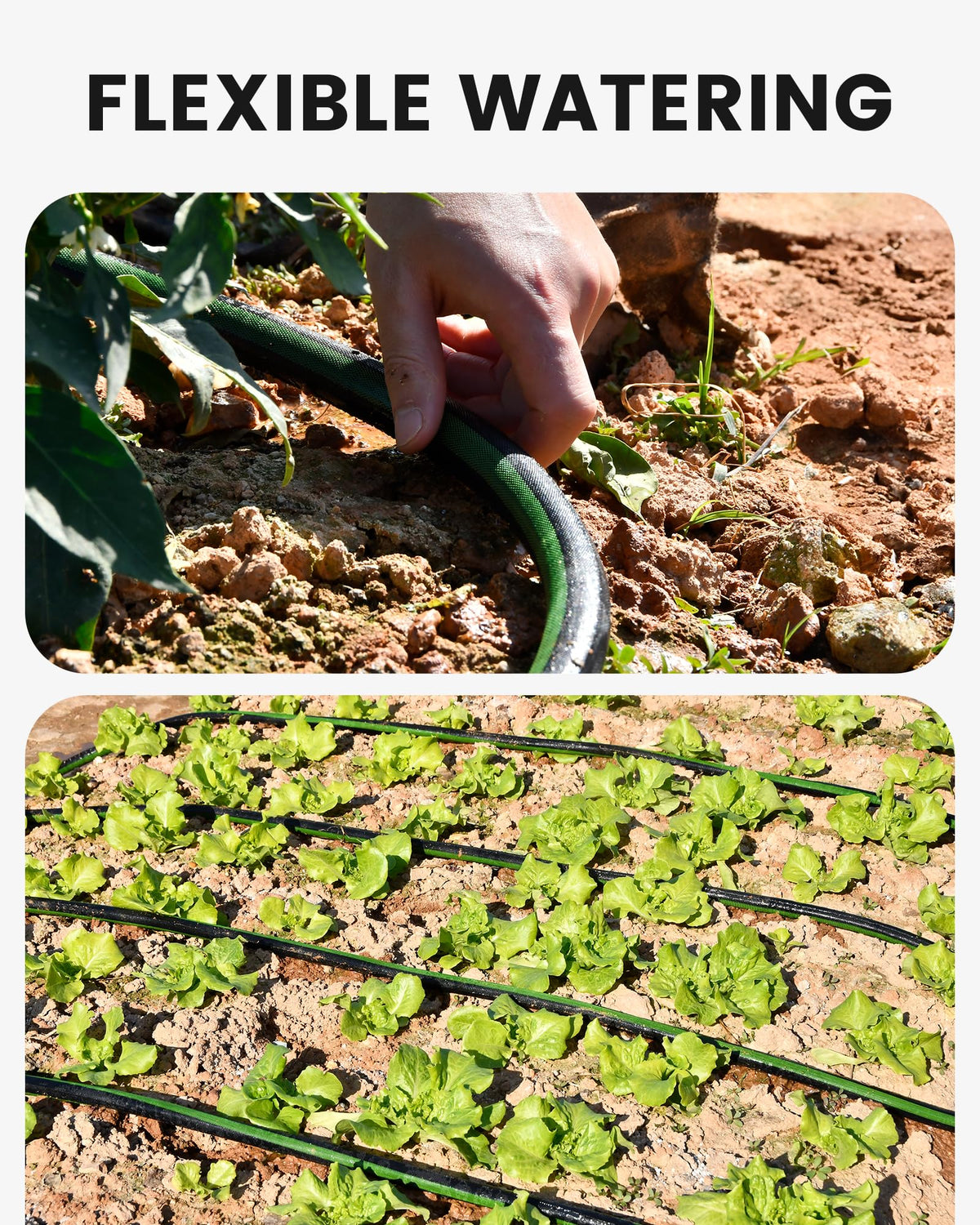 RAINPOINT ensures steady, soil-wide soaking for veggie beds.