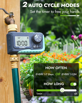 Rainpoint timer large LCD screen shows watering details clearly outdoors