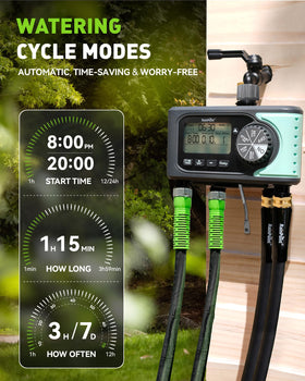 Rainpoint timer in rain delay mode prevents watering during rain.