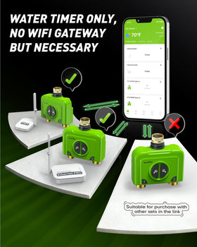RAINPOINT two-zone sprinkler controller enabling customizable garden watering.