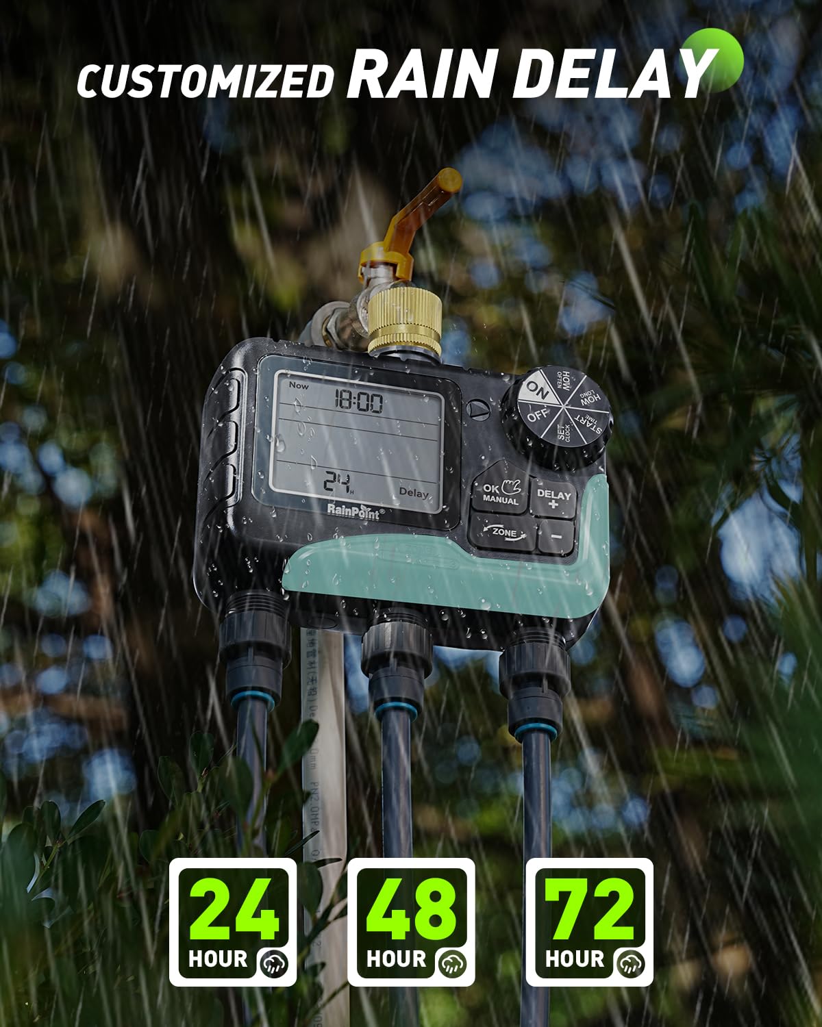 RAINPOINT weather-delay feature illustrating water-saving scheduling