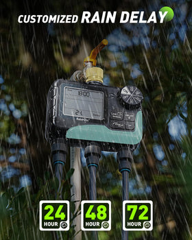 RAINPOINT weather-delay feature illustrating water-saving scheduling