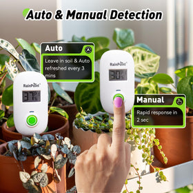 RAINPOINT WiFi hub compatibility enables remote moisture monitoring on 2.4 GHz networks.
