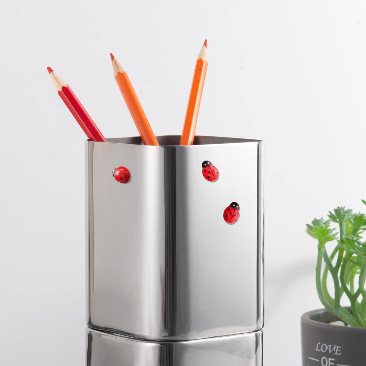 Rainteam Ladybug magnet brightens fridge and kitchen surfaces.