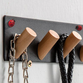 Rainteam Ladybug magnet on a metal surface for cute display.