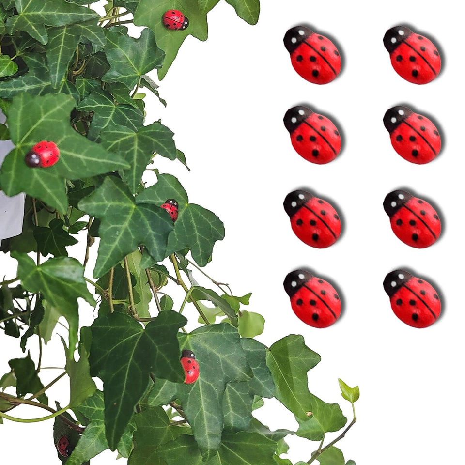 Rainteam Ladybug magnet decor on a plant adds playful charm.