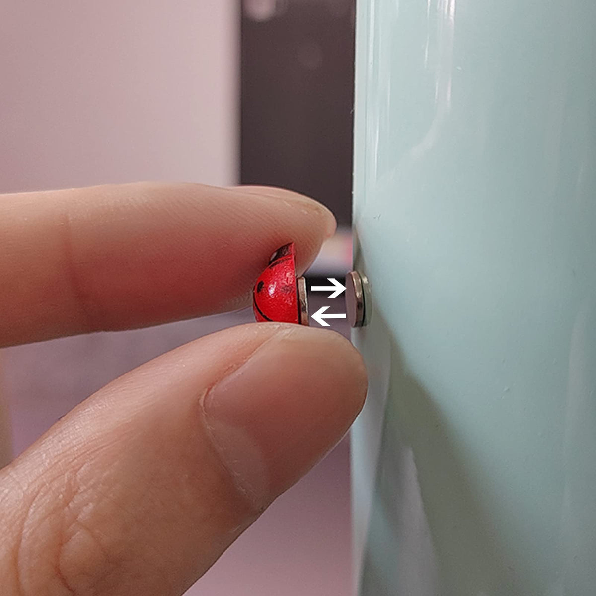 Rainteam Ladybug magnet on pothos provides leaf-friendly decor.