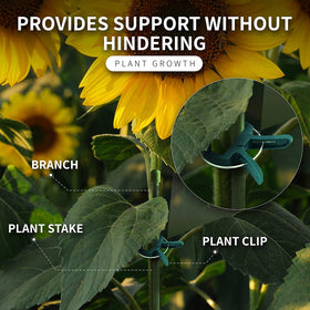 RamPro garden clips securing stems to stakes to resist wind and rain.