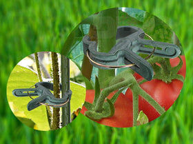 RamPro lever-loop clips gently grip tomato vines with a secure hold.