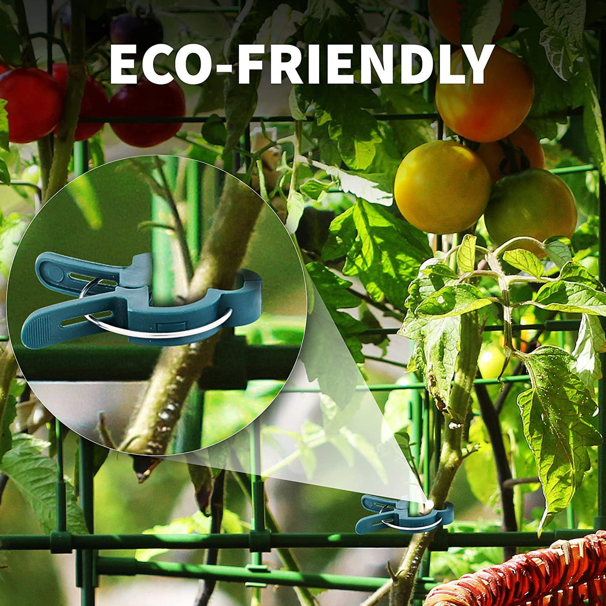 RamPro clips help organize climbing plants like beans and cucumbers.
