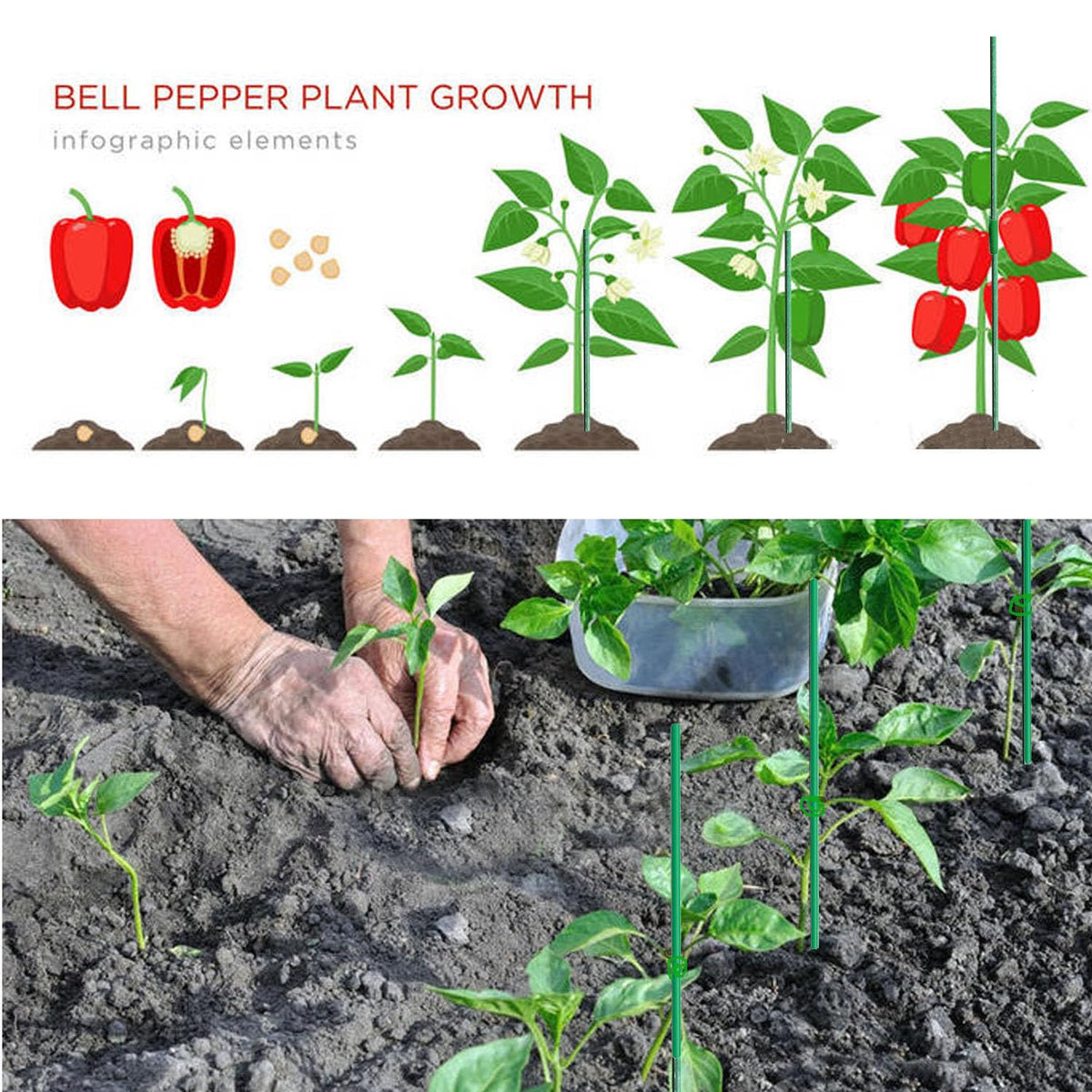 Ranchbtn connectors and clips enabling quick length changes for plants.