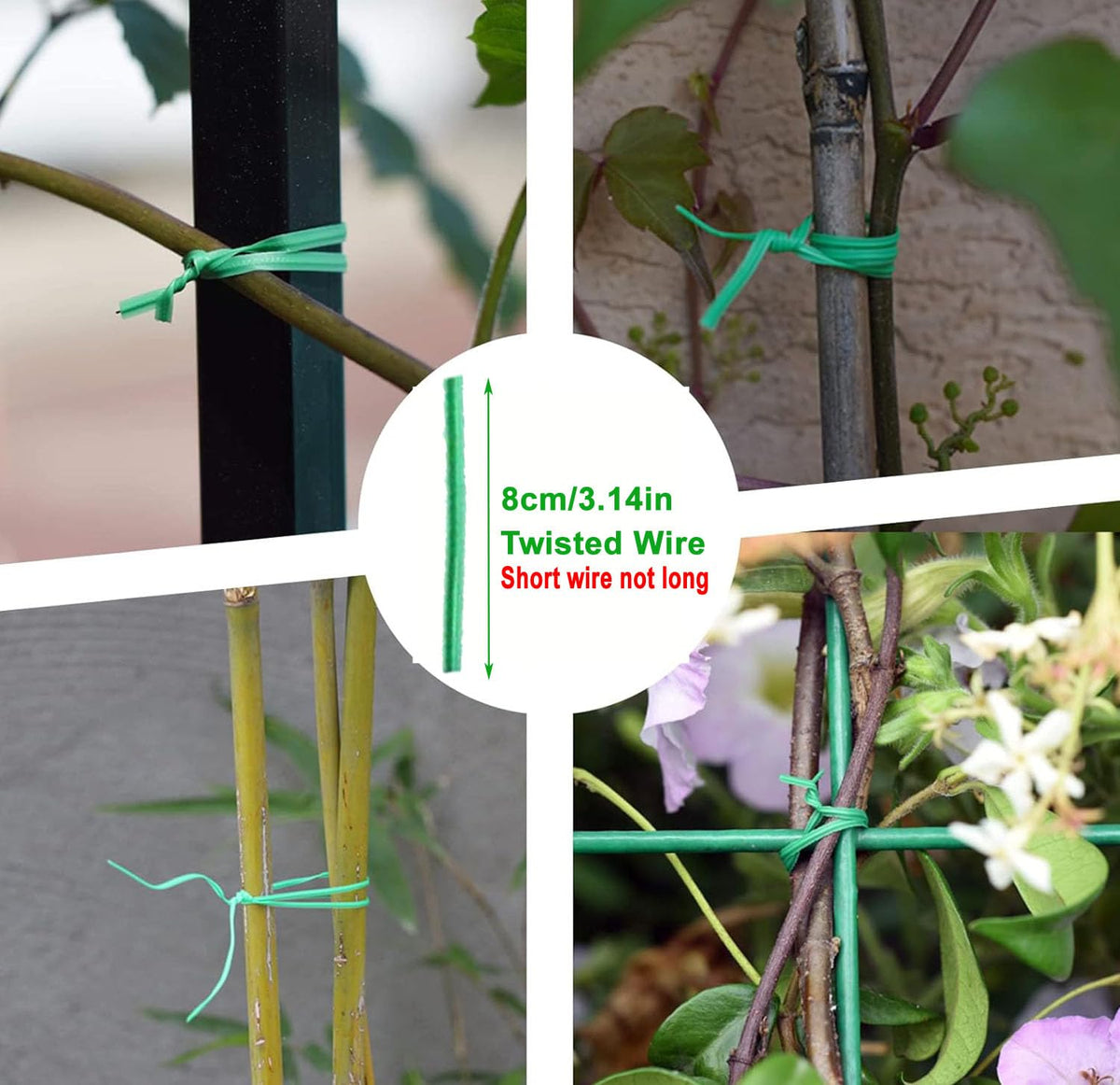 Ranchbtn tomato, bean, and vegetable stakes stabilizing tall garden plants.