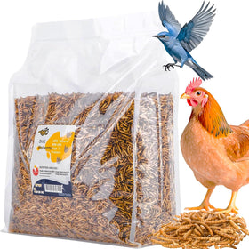 RANZ 5LBS dried mealworms bag; protein-rich treat for backyard chickens.