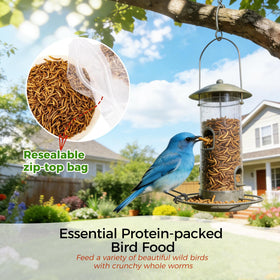 RANZ dried mealworms in fish tank scene as versatile wildlife feed.