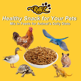 RANZ resealable packaging supports convenient, on-the-go feeding.