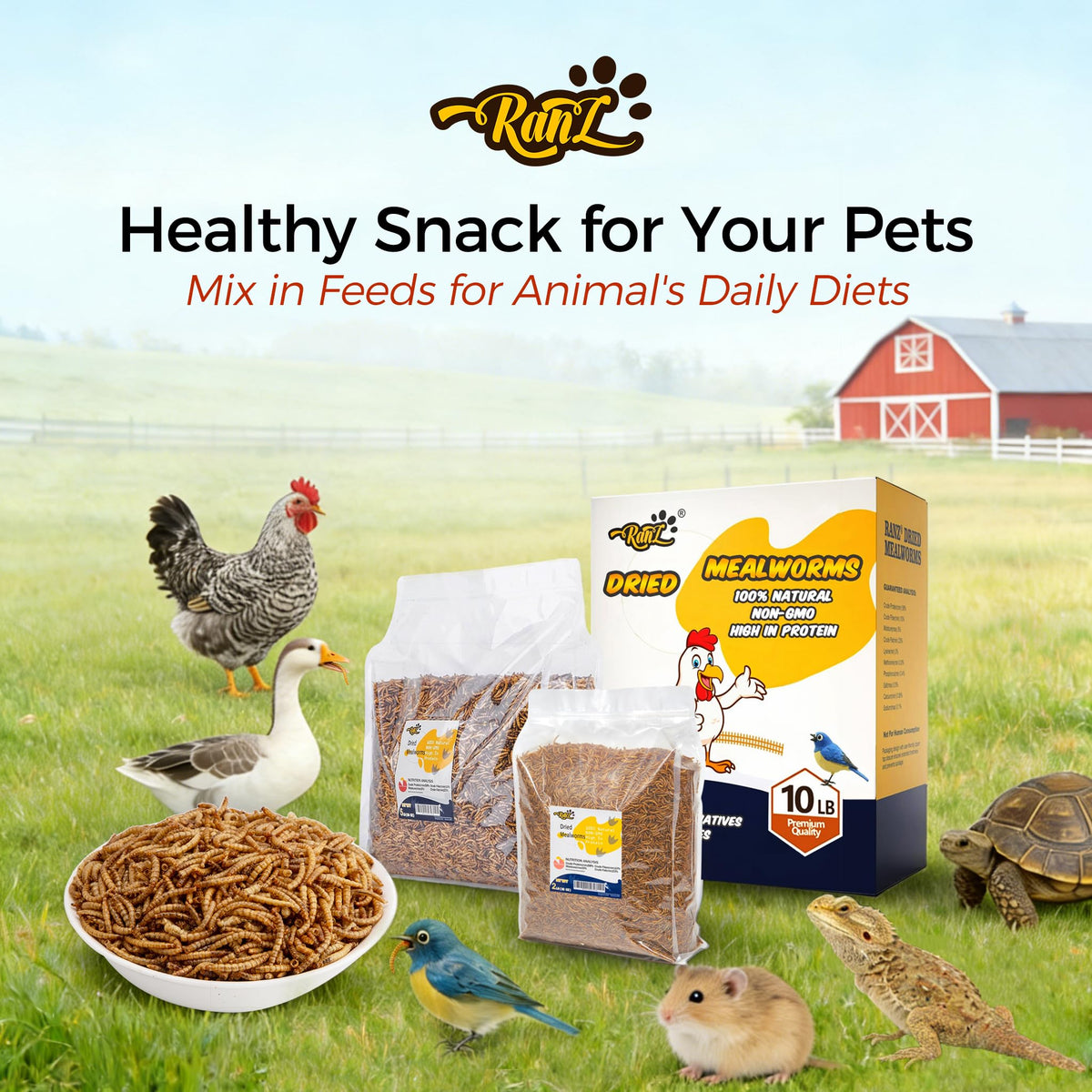 RANZ dried mealworms closeup emphasizing 55% protein content.