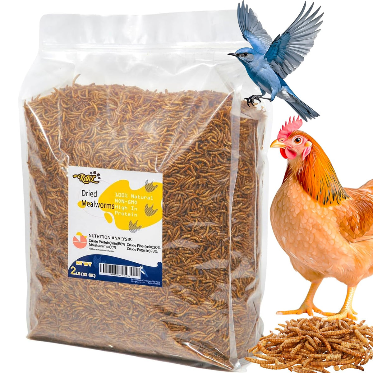 RANZ mealworms in feed dish for birds and small pets at home.
