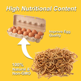 RANZ mealworms with 55% crude protein support egg quality.