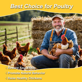 RANZ protein-rich snack may boost flock vitality and feather health.