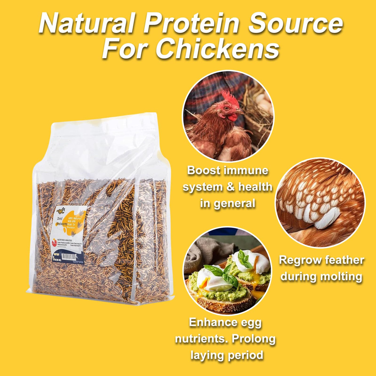 RANZ mealworms shown for wild birds, ducks, and pets.