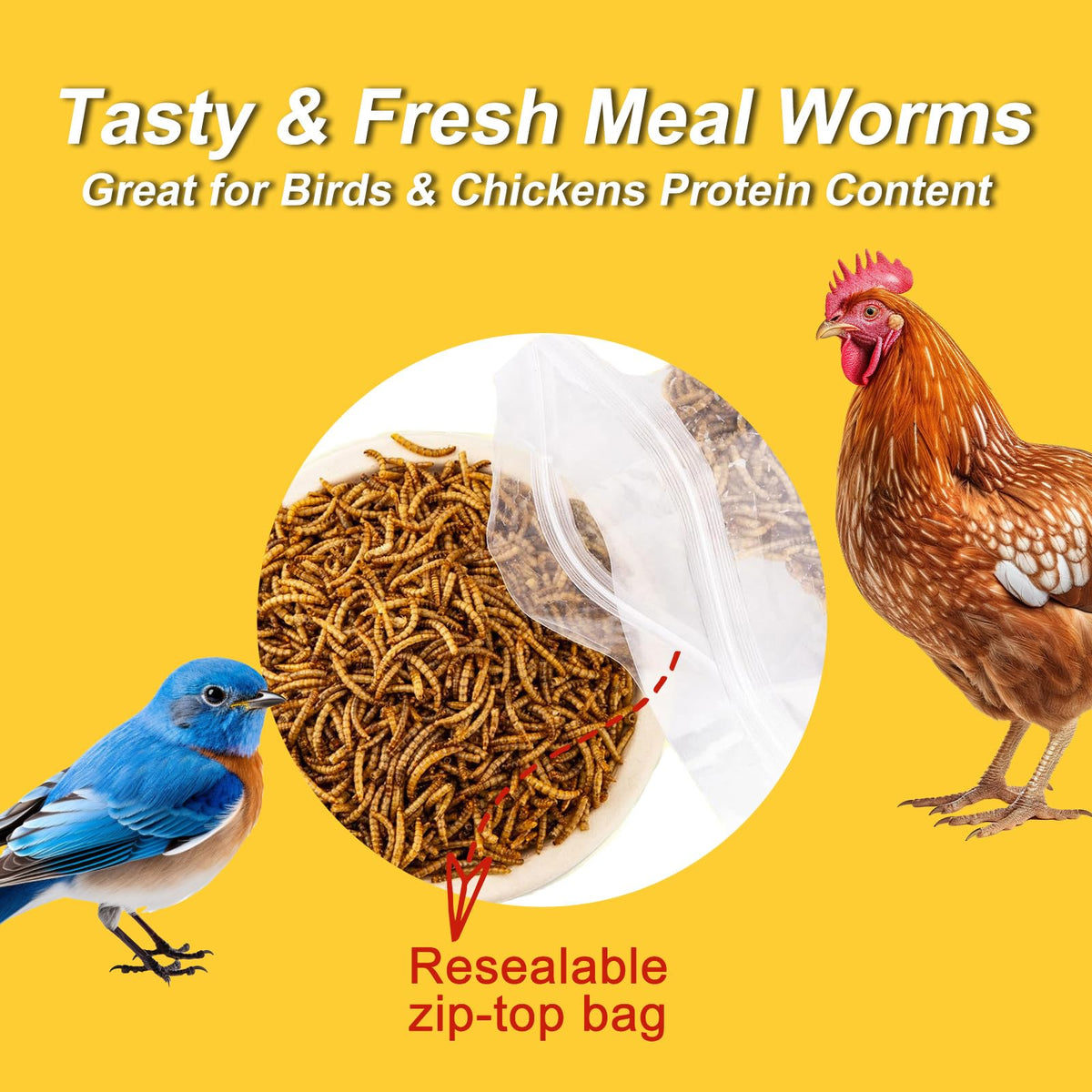 RANZ 100% natural, non-GMO mealworms ideal for treats.