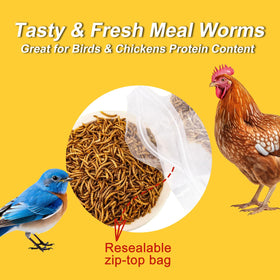 RANZ 100% natural, non-GMO mealworms ideal for treats.