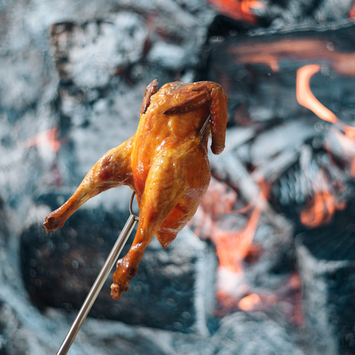 RAOMEIDE 6-pack heavy-duty roasting sticks ideal for backyard roasting.