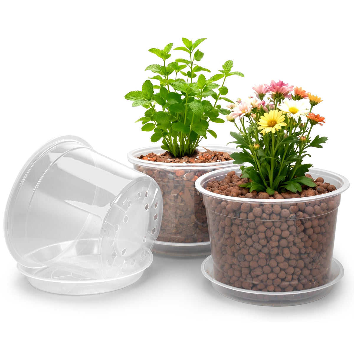 RAOOKIF 10 inch clear nursery pot with saucer for easy root observation.