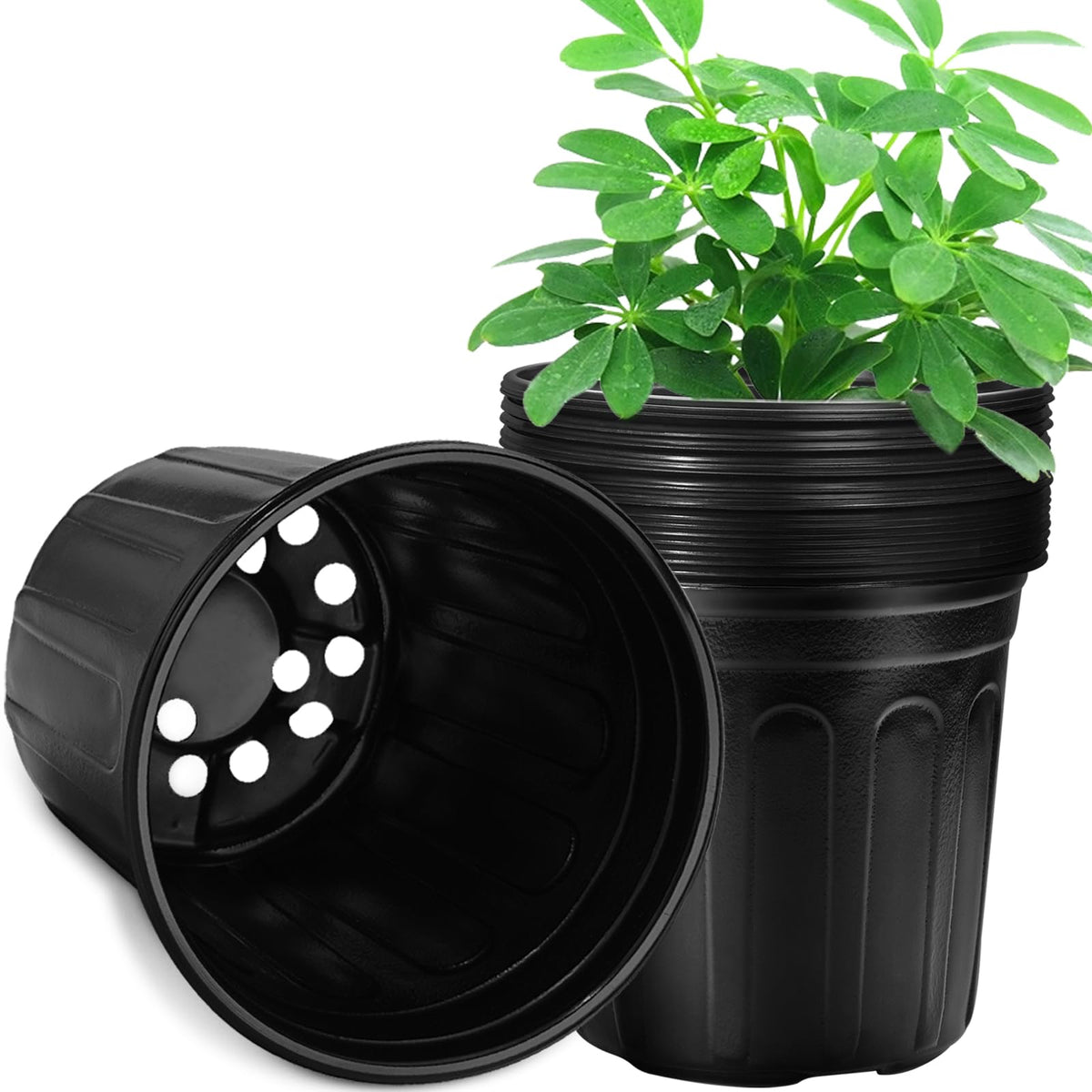 RAOOKIF 2-gallon pot showing 8.7 inch opening for easy transplanting