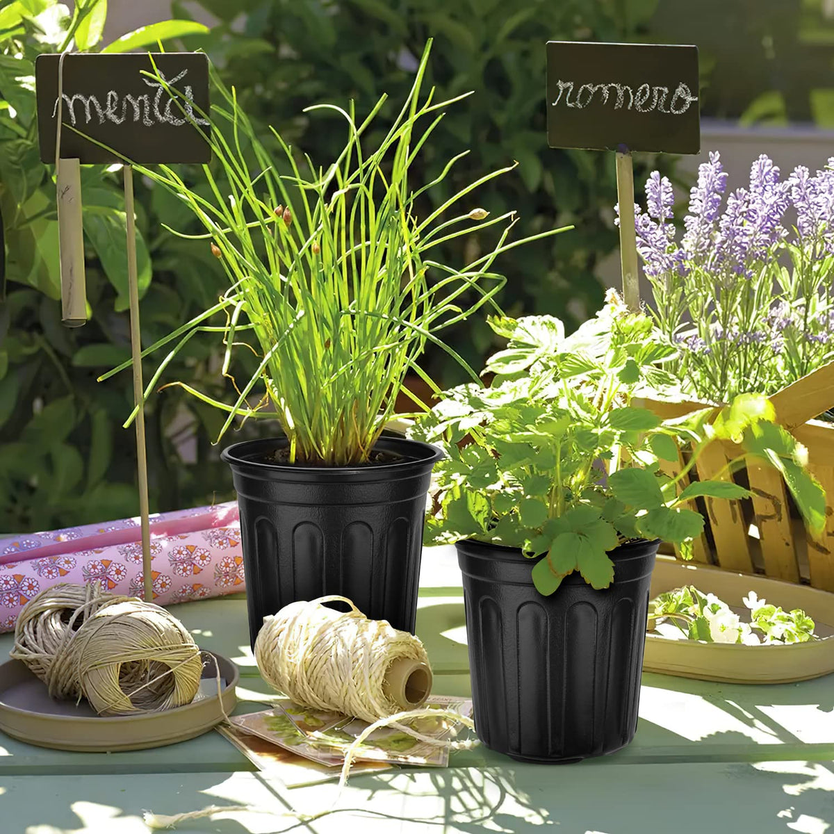 RAOOKIF 3 gallon pot is lightweight yet durable for seasonal gardening.