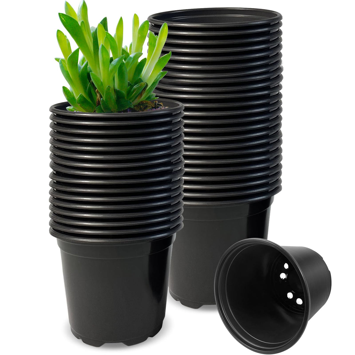 RAOOKIF 3-inch nursery pot close-up with drainage holes for healthy root airflow.