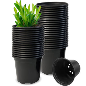 RAOOKIF 3-inch nursery pot close-up with drainage holes for healthy root airflow.