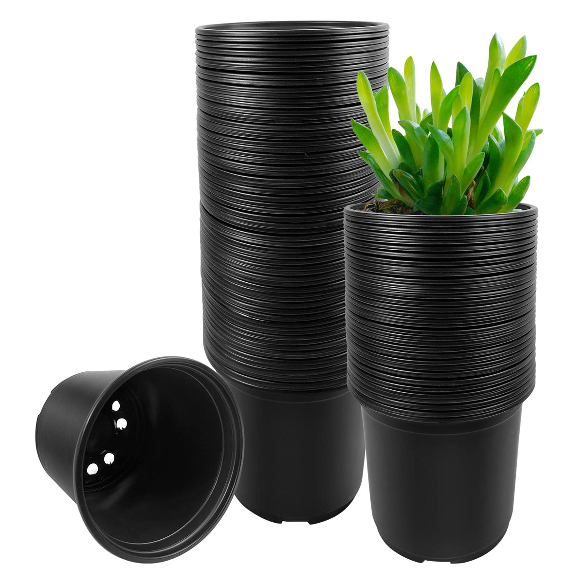 RAOOKIF 4-inch nursery pot pack for seed starting and transplanting