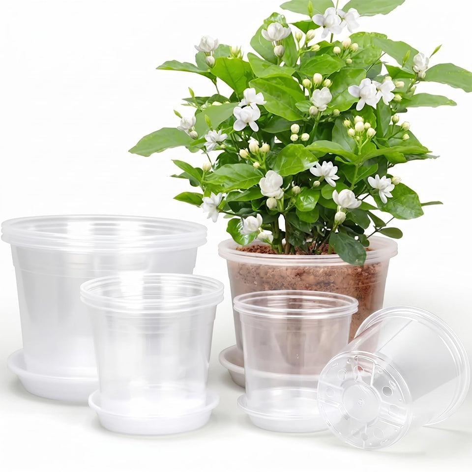 RAOOKIF clear 10-inch nursery pot with drainage hole for healthy root growth