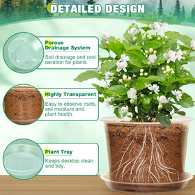 RAOOKIF 5-inch clear pot ideal for small succulents and herbs