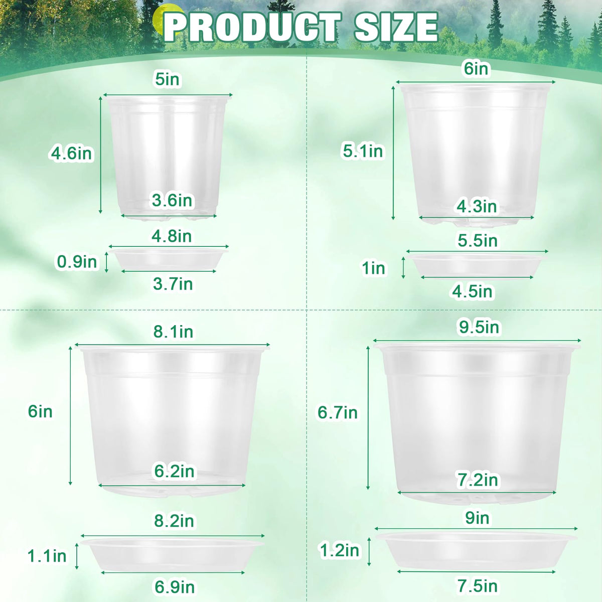RAOOKIF clear 8-inch nursery pot showing soil and roots for monitoring