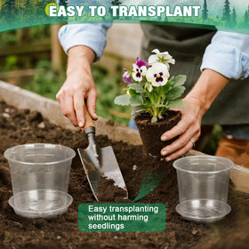 RAOOKIF large 10 inch pot ideal for succulents herbs and veggies.