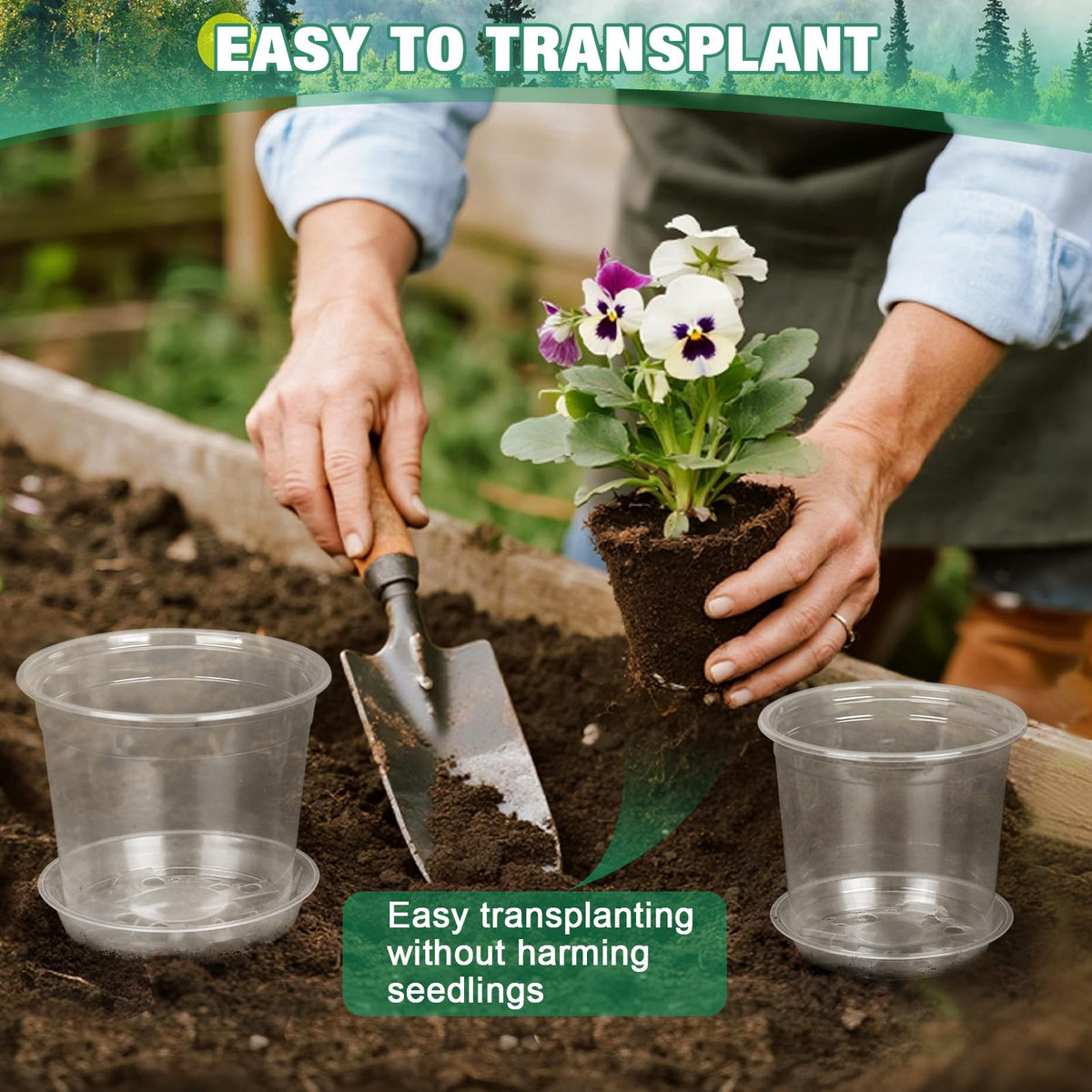 RAOOKIF saucers pair with pots to catch excess water