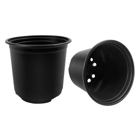 RAOOKIF succulent propagation pot showcased for healthy cuttings.
