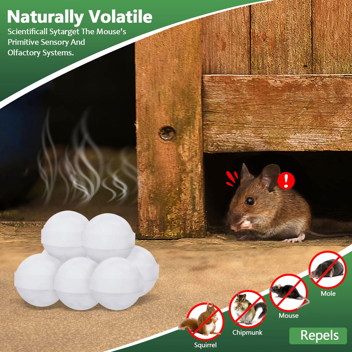 RATITU Natural Ingredients Humane Pest Control promotes safer homes.