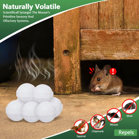 RATITU Natural Ingredients Humane Pest Control promotes safer homes.