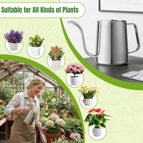 Ratrabas watering can with an elegant metallic finish suitable for home or office decor.