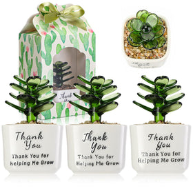 RattanView glass succulent with thank you sticker adds a heartfelt desk touch with no maintenance.