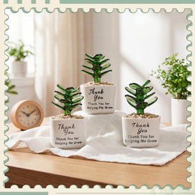 RattanView three-pack glass succulents gift set on desks boosts classroom charm.
