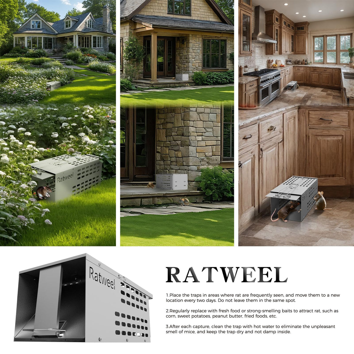 Ratweel trap dimensions accommodate easy entry by most rodents.