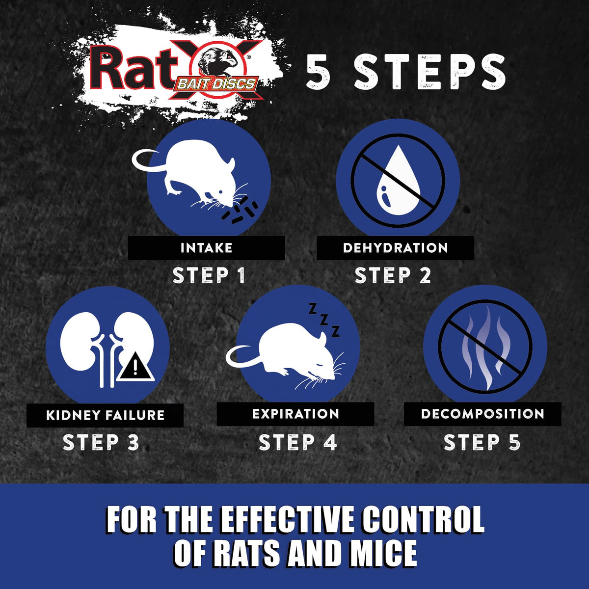 RatX discs in a dispenser area help minimize rodent activity.