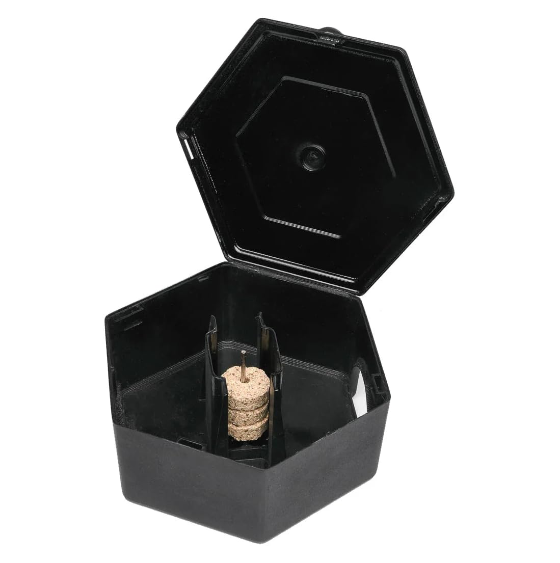 RatX bait station small plastic box fits compact spaces