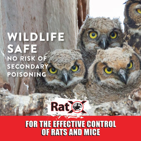 RatX ready-to-use packs shown without mixing required for quick setup.
